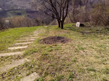 Sremska Kamenica | 4zida.rs