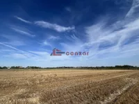 Hajdukovo, Okolne lokacije, Subotica | 4zida.rs | 4zida.rs