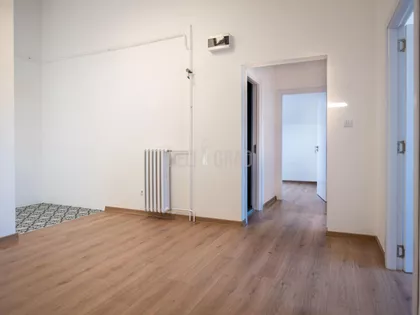 Petra Martinovića | 4zida.rs