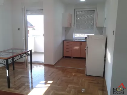Salajka | 4zida.rs