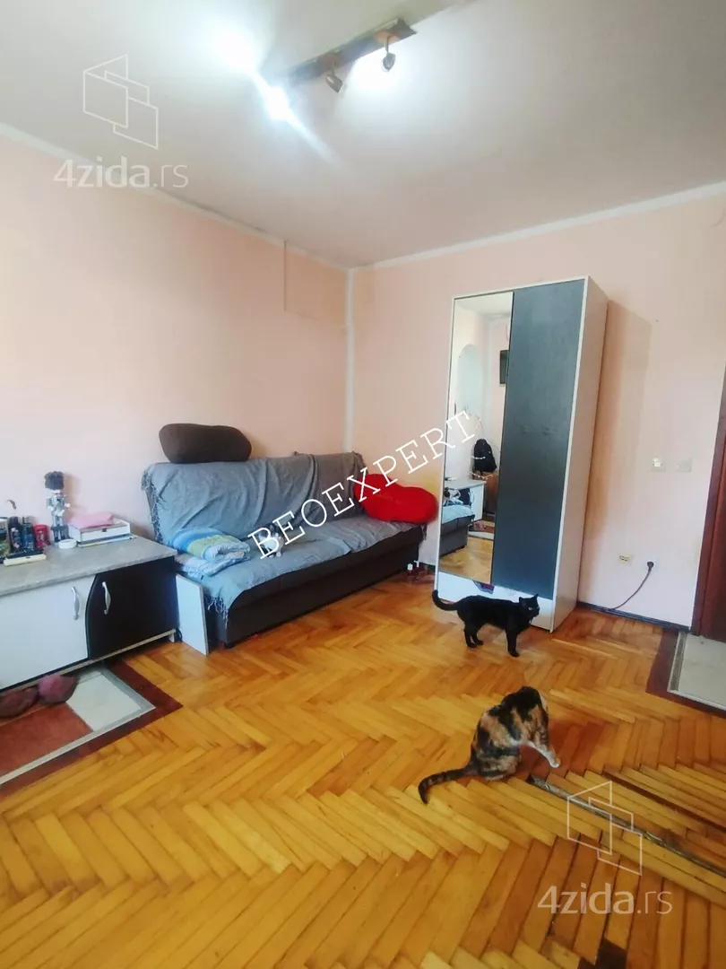 Garsonjera | 4zida