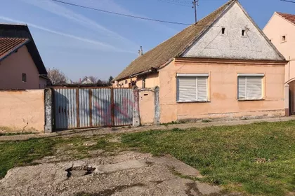 Janka Baka | 4zida.rs