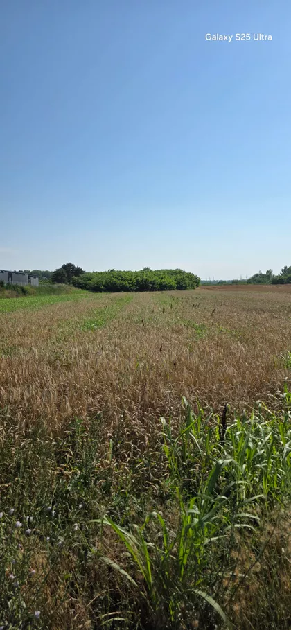 Ratno Ostrvo | 4zida.rs