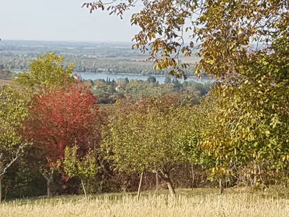 Čerević | 4zida.rs