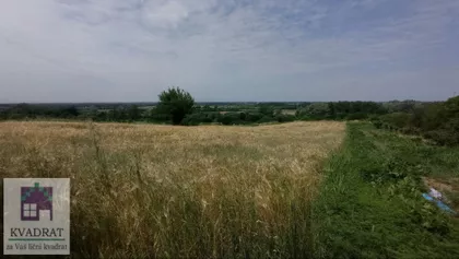 Mislođin | 4zida.rs