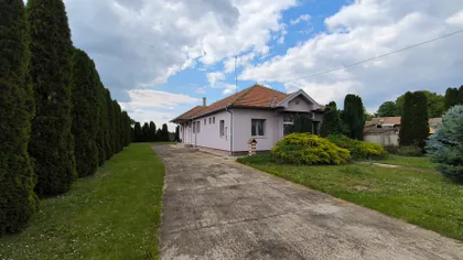 Glušci | 4zida.rs