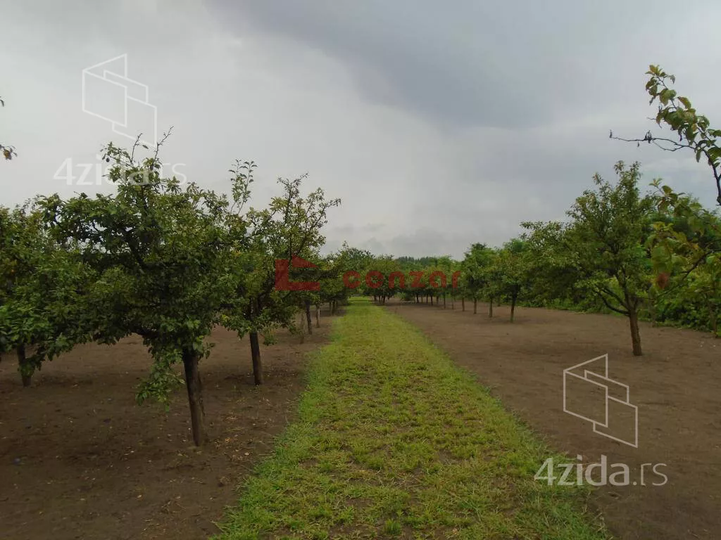 Plac | 4zida