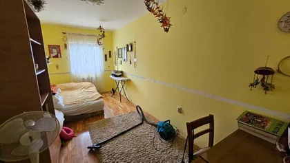 Zrenjanin, Lesnina | 4zida.rs