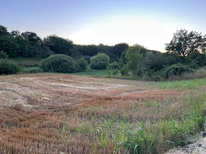 Pčelarska | 4zida.rs