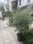 Beograd, Zemun opština, Zemunski Kej | 4zida.rs | 4zida.rs