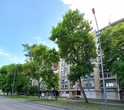 Prozivka | 4zida.rs