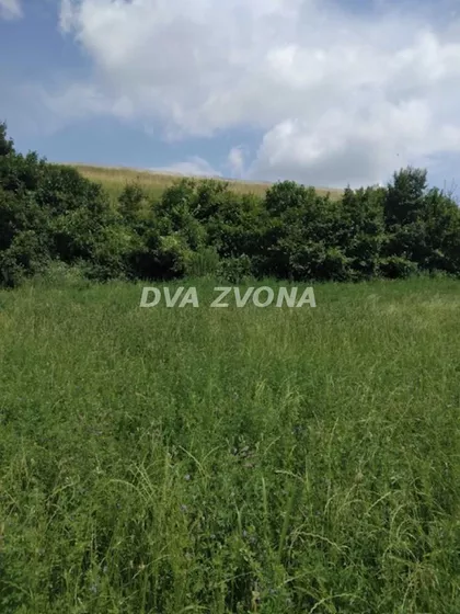 Čortanovci | 4zida.rs