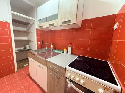 Vase Pelagića | 4zida.rs