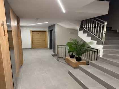 Kiš Ernea 46 | 4zida.rs