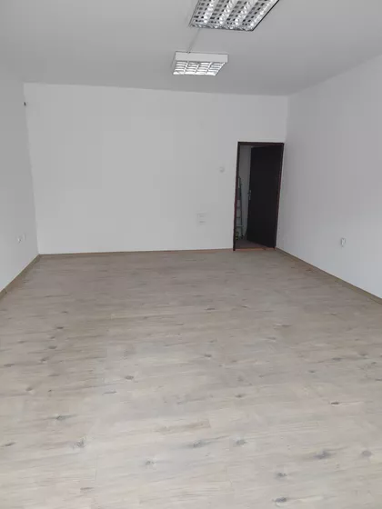 Moše Pijade | 4zida.rs