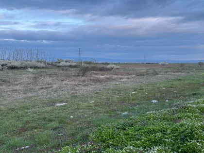 Dobri Španca | 4zida.rs