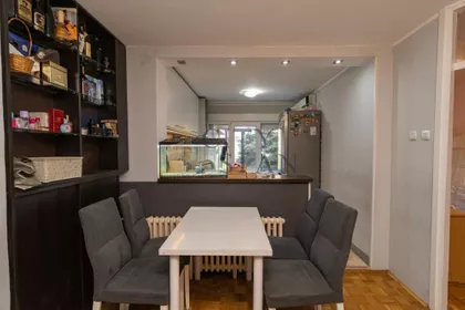 Dr Ivana Ribara | 4zida.rs