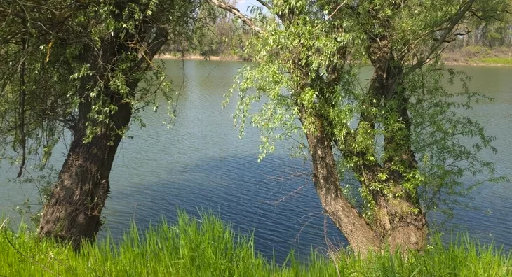 Poljoprivredno zemljište | 4zida