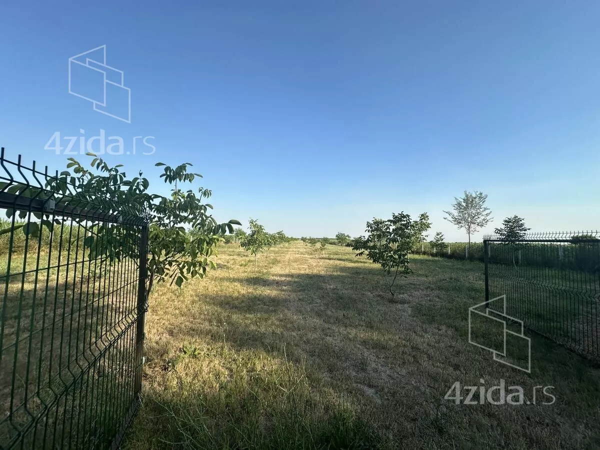 Plac | 4zida