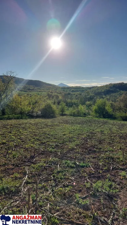Bačevička | 4zida.rs