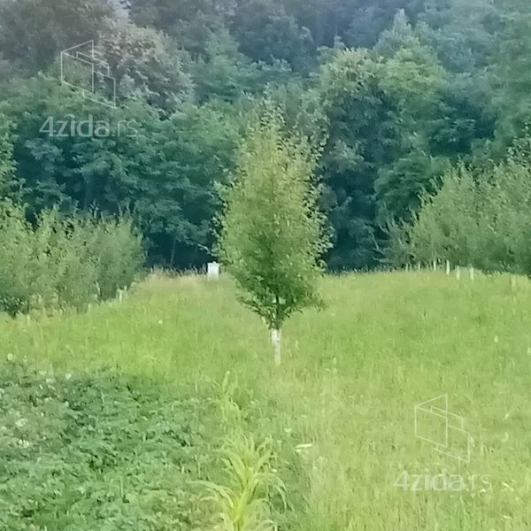 Plac | 4zida