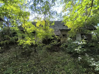 Palić