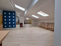Novi Sad - Centar, Stari Grad, Gradske lokacije, Novi Sad | 4zida.rs