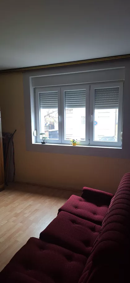 Prote Smiljanića | 4zida.rs