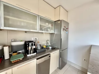 Šumatovačka | 4zida.rs