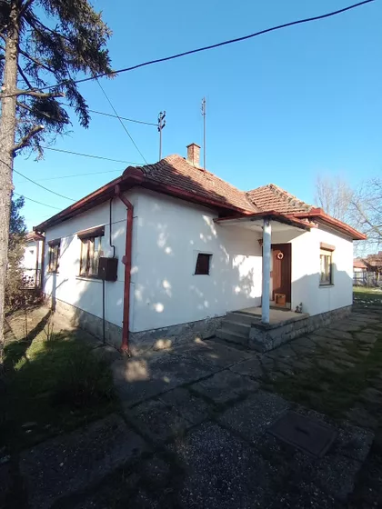 Pap Pavla | 4zida.rs