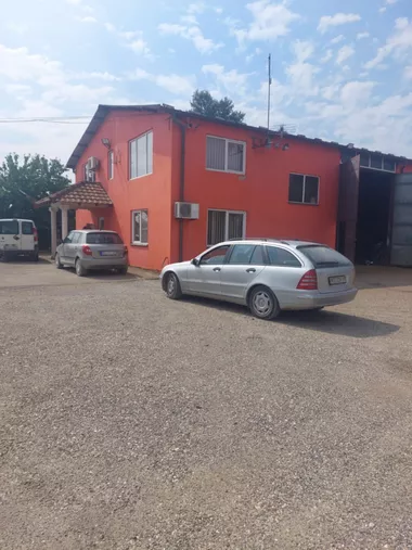 Bivolje