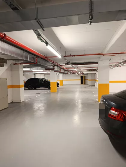 Cara Dušana | 4zida.rs