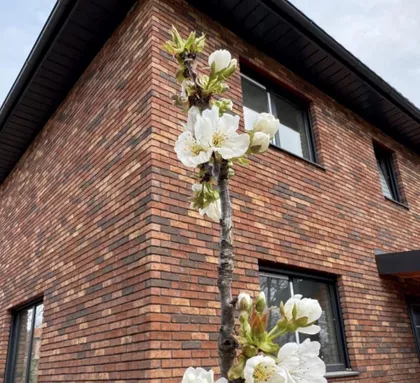 Zaklopača | 4zida.rs