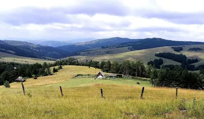 Vodovodska 73 | 4zida.rs