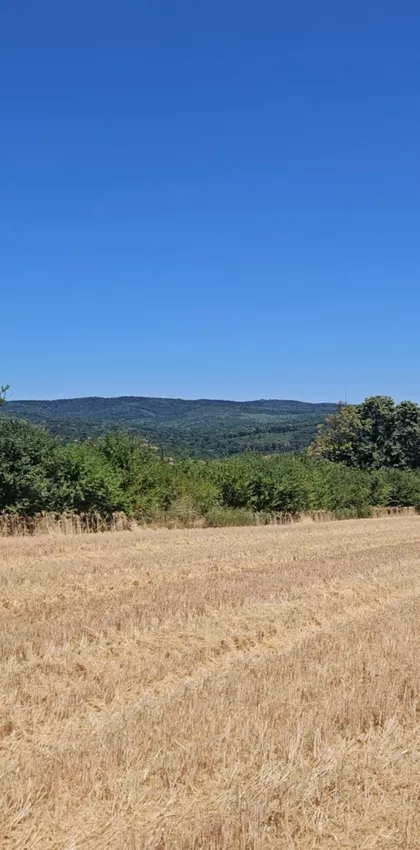 Vrdnik | 4zida.rs