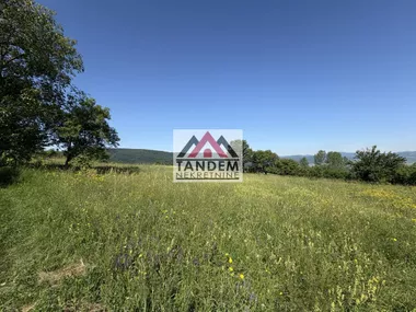 Resnik