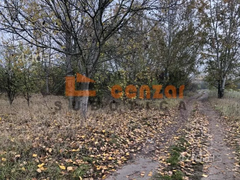 Plac | 4zida