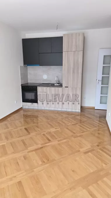 Borivoja Stevanovića
