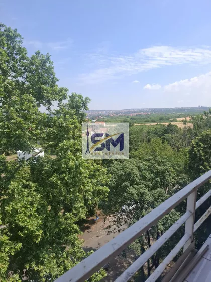 Darinke Radović | 4zida.rs