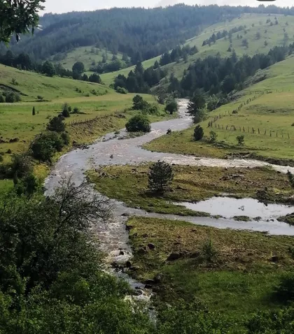 Tometino Polje Bb | 4zida.rs