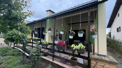 Zeleno Polje | 4zida.rs