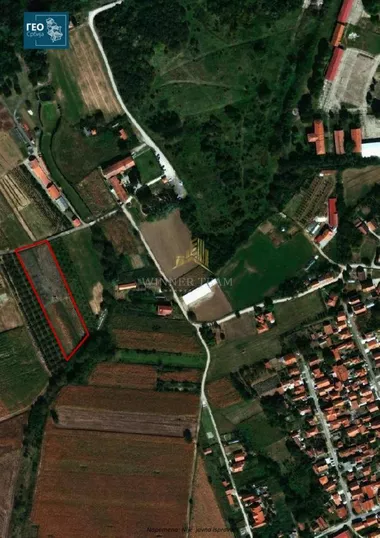 Ada