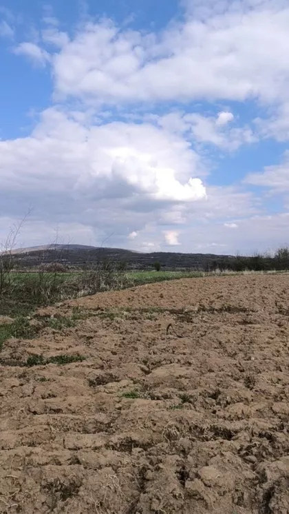 Kosmajska | 4zida.rs