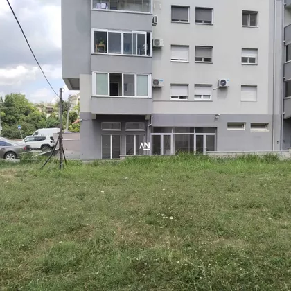 Galipoljska | 4zida.rs