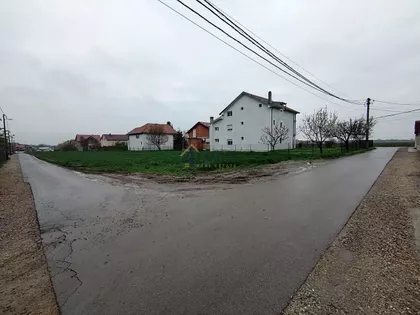 Jovana brankovića | 4zida.rs