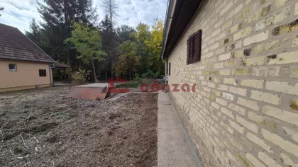 Kelebija | 4zida.rs