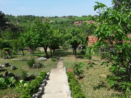 Lole Ribara | 4zida.rs