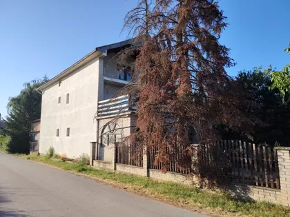 Skadarska | 4zida.rs