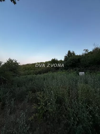 Čortanovci | 4zida.rs