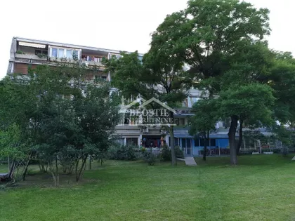 Dr Ivana Ribara | 4zida.rs